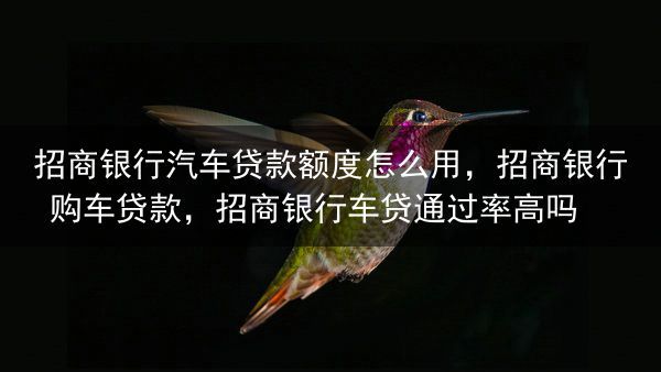 招商银行汽车贷款额度怎么用，招商银行 购车贷款，招商银行车贷通过率高吗