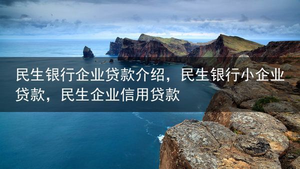 民生银行企业贷款介绍，民生银行小企业贷款，民生企业信用贷款