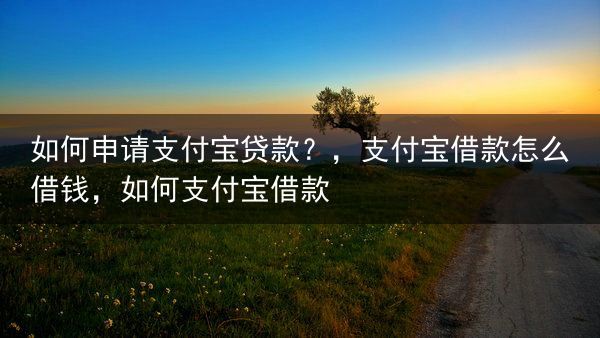 如何申请支付宝贷款？