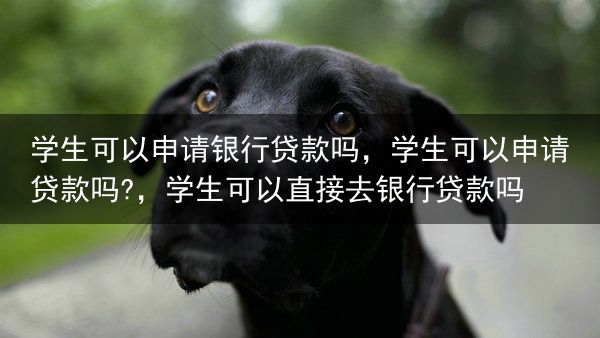 学生可以申请银行贷款吗，学生可以申请贷款吗?，学生可以直接去银行贷款吗