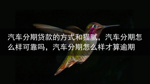 汽车分期贷款的方式和猫腻