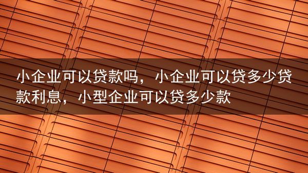 小企业可以贷款吗，小企业可以贷多少贷款利息，小型企业可以贷多少款