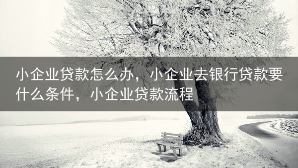小企业贷款怎么办，小企业去银行贷款要什么条件，小企业贷款流程