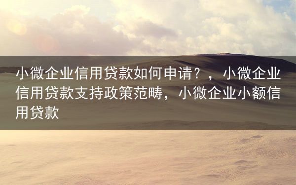 小微企业信用贷款如何申请？，小微企业信用贷款支持政策范畴，小微企业小额信用贷款