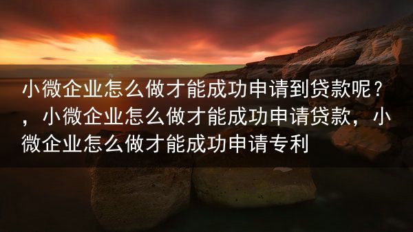 小微企业怎么做才能成功申请到贷款呢？，小微企业怎么做才能成功申请贷款，小微企业怎么做才能成功申请专利