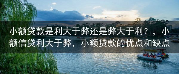 小额贷款是利大于弊还是弊大于利？，小额信贷利大于弊，小额贷款的优点和缺点