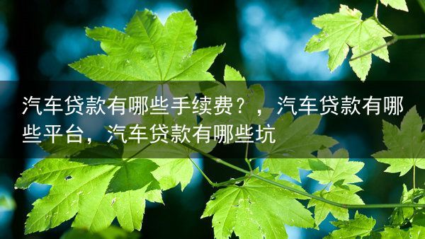 汽车贷款有哪些手续费？，汽车贷款有哪些平台，汽车贷款有哪些坑