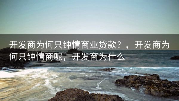 开发商为何只钟情商业贷款？，开发商为何只钟情商呢，开发商为什么