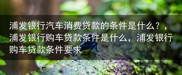 浦发银行汽车消费贷款的条件是什么？