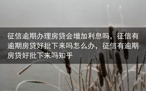 征信逾期办理房贷会增加利息吗，征信有逾期房贷好批下来吗怎么办，征信有逾期房贷好批下来吗知乎