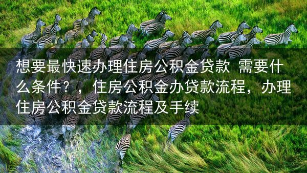 想要最快速办理住房公积金贷款 需要什么条件？
