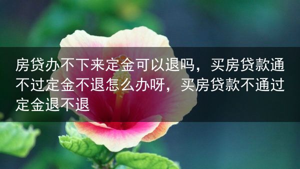 房贷办不下来定金可以退吗，买房贷款通不过定金不退怎么办呀，买房贷款不通过定金退不退