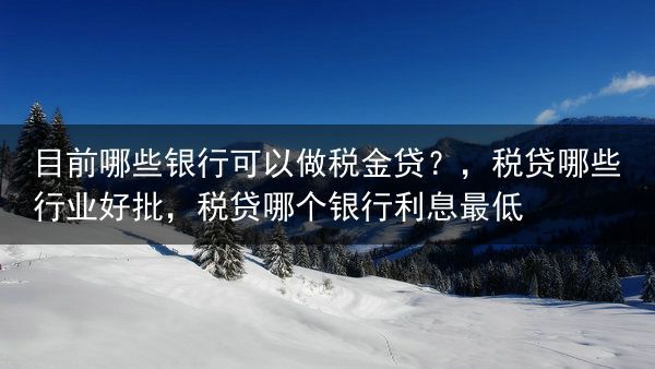 目前哪些银行可以做税金贷？，税贷哪些行业好批，税贷哪个银行利息最低