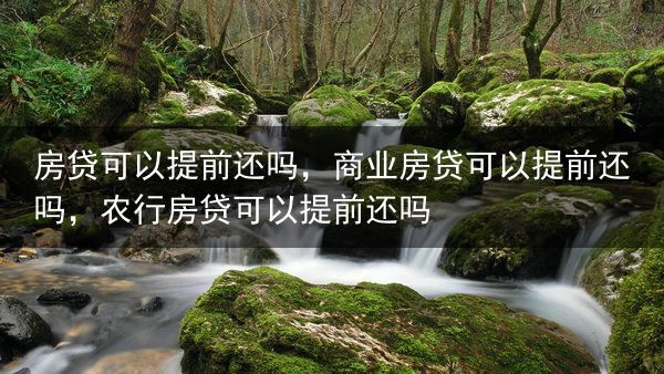 房贷可以提前还吗，商业房贷可以提前还吗，农行房贷可以提前还吗
