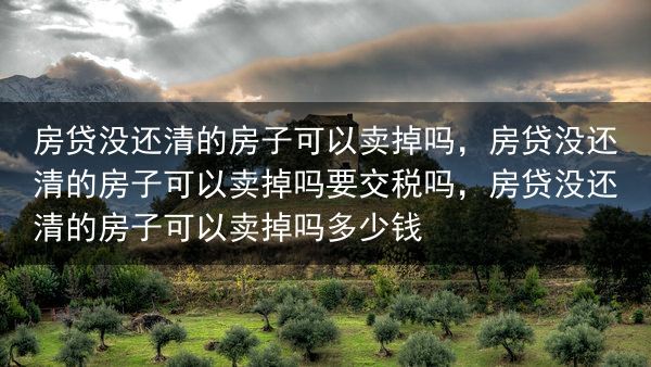 房贷没还清的房子可以卖掉吗，房贷没还清的房子可以卖掉吗要交税吗，房贷没还清的房子可以卖掉吗多少钱