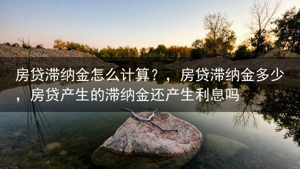 房贷滞纳金怎么计算？，房贷滞纳金多少，房贷产生的滞纳金还产生利息吗