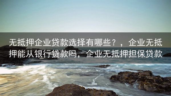 无抵押企业贷款选择有哪些？，企业无抵押能从银行贷款吗，企业无抵押担保贷款