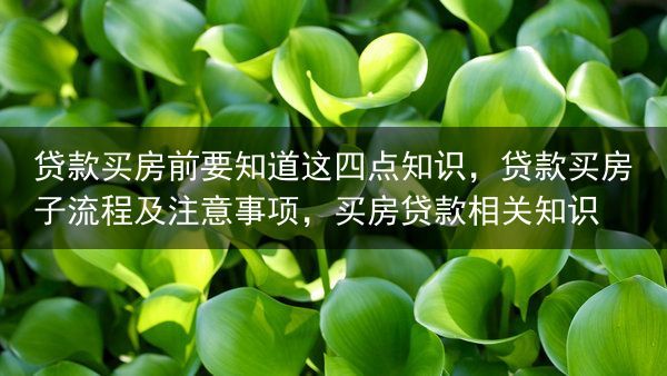 贷款买房前要知道这四点知识，贷款买房子流程及注意事项，买房贷款相关知识