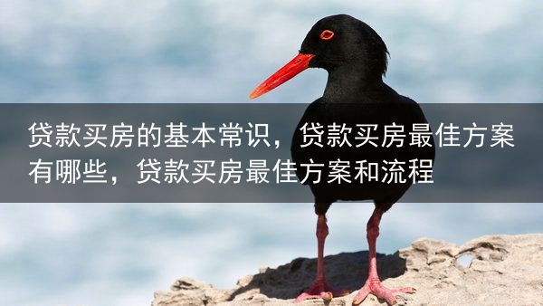 贷款买房的基本常识，贷款买房最佳方案有哪些，贷款买房最佳方案和流程