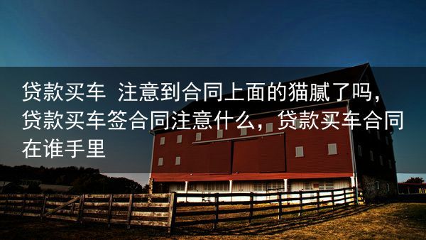 贷款买车 注意到合同上面的猫腻了吗