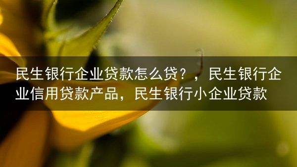 民生银行企业贷款怎么贷？，民生银行企业信用贷款产品，民生银行小企业贷款
