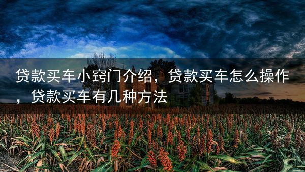 贷款买车小窍门介绍