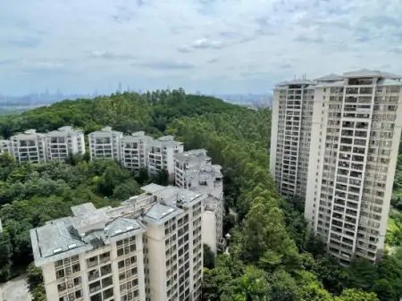 “认房不用认贷”政策落地广深 影响几何？，什么是认房不认贷有什么好处，什么是认房不认贷什么意思