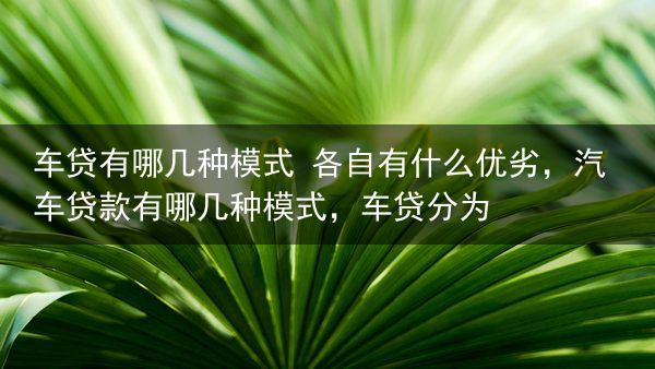 车贷有哪几种模式 各自有什么优劣，汽车贷款有哪几种模式，车贷分为