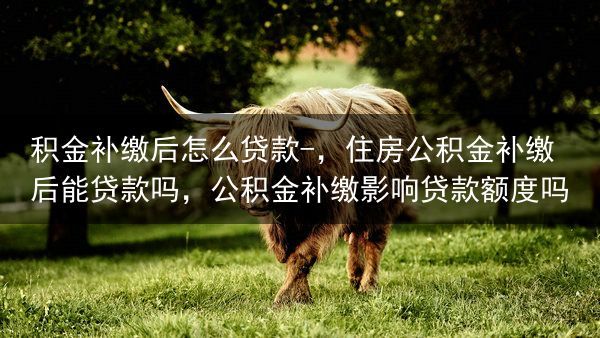 积金补缴后怎么贷款-，住房公积金补缴后能贷款吗，公积金补缴影响贷款额度吗