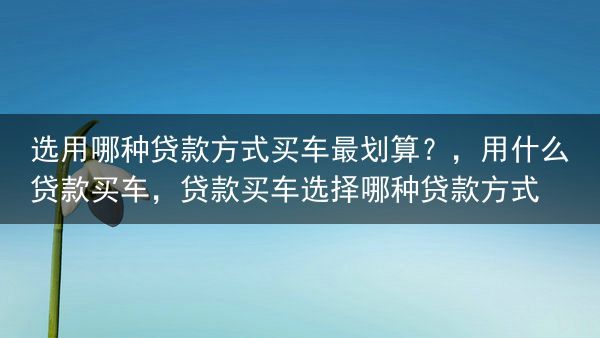 选用哪种贷款方式买车最划算？，用什么贷款买车，贷款买车选择哪种贷款方式