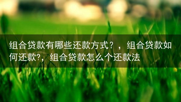组合贷款有哪些还款方式？，组合贷款如何还款?，组合贷款怎么个还款法