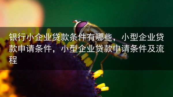 银行小企业贷款条件有哪些，小型企业贷款申请条件，小型企业贷款申请条件及流程