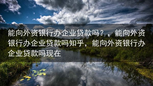 能向外资银行办企业贷款吗？，能向外资银行办企业贷款吗知乎，能向外资银行办企业贷款吗现在