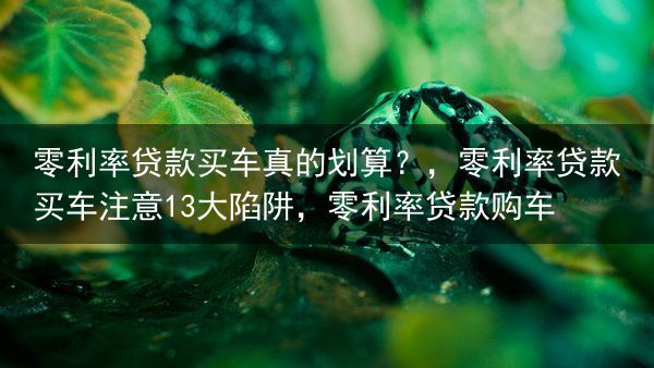 零利率贷款买车真的划算？，零利率贷款买车注意13大陷阱，零利率贷款购车
