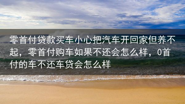 零首付贷款买车小心把汽车开回家但养不起，零首付购车如果不还会怎么样，0首付的车不还车贷会怎么样