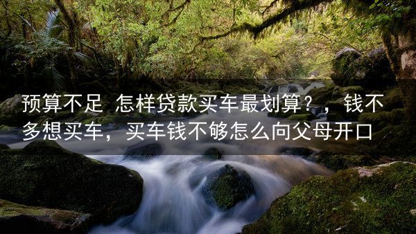 预算不足 怎样贷款买车最划算？，钱不多想买车，买车钱不够怎么向父母开口