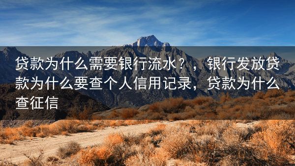 贷款为什么需要银行流水？，银行发放贷款为什么要查个人信用记录，贷款为什么查征信