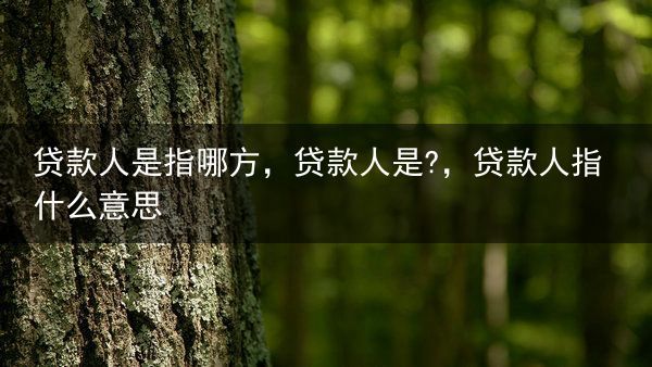 贷款人是指哪方，贷款人是?，贷款人指什么意思