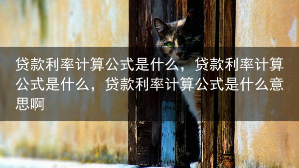贷款利率计算公式是什么，贷款利率计算公式是什么，贷款利率计算公式是什么意思啊