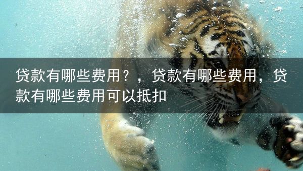 贷款有哪些费用？，贷款有哪些费用，贷款有哪些费用可以抵扣