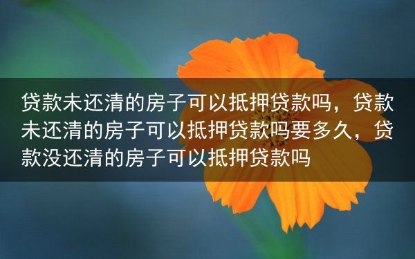 贷款未还清的房子可以抵押贷款吗，贷款未还清的房子可以抵押贷款吗要多久，贷款没还清的房子可以抵押贷款吗