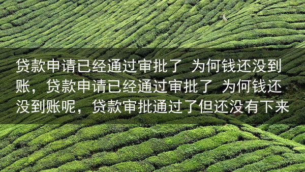 贷款申请已经通过审批了 为何钱还没到账，贷款申请已经通过审批了 为何钱还没到账呢，贷款审批通过了但还···