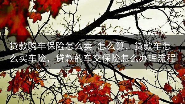 贷款购车保险怎么卖 怎么算，贷款车怎么买车险，贷款的车交保险怎么办理流程