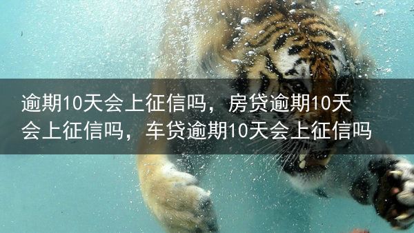 逾期10天会上征信吗，房贷逾期10天会上征信吗，车贷逾期10天会上征信吗