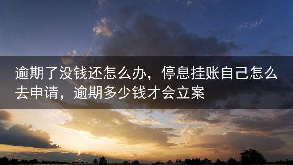 逾期了没钱还怎么办，停息挂账自己怎么去申请，逾期多少钱才会立案