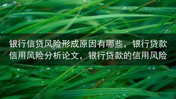 银行信贷风险形成原因有哪些，银行贷款信用风险分析论文，银行贷款的信用风险