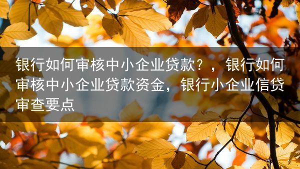 银行如何审核中小企业贷款？，银行如何审核中小企业贷款资金，银行小企业信贷审查要点