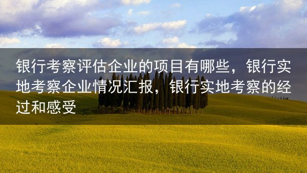 银行考察评估企业的项目有哪些，银行实地考察企业情况汇报，银行实地考察的经过和感受