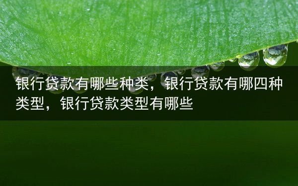 银行贷款有哪些种类，银行贷款有哪四种类型，银行贷款类型有哪些