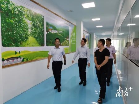 “贷”动梅州柚出山！农行梅州分行近3年投放金柚行业贷款近2亿元，广东梅州金柚苗供应，梅州金柚市场分析